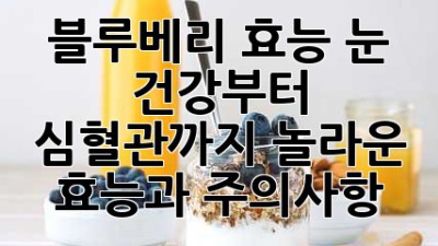 블루베리 효능: 눈 건강부터 심혈관까지! 놀라운 효능과 주의사항