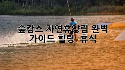 숲캉스🌳 자연휴양림 완벽 가이드: 힐링 & 휴식🌿