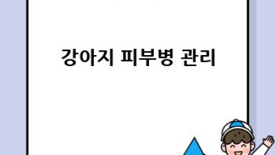 강아지가 핥는 이유: 그 비밀을 파헤쳐봐요!